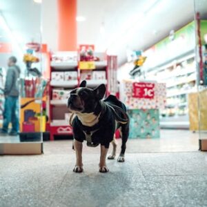 Ergonomic Dog Harness